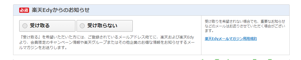 Screenshot of the Japanese application form