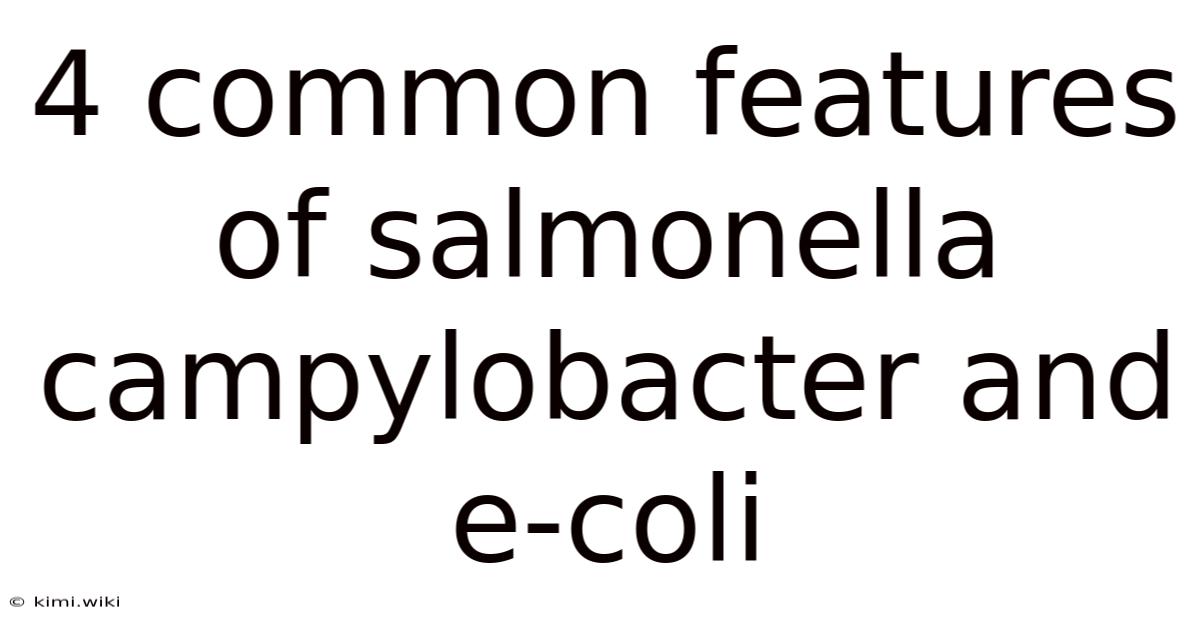 4 Common Features Of Salmonella Campylobacter And E-coli