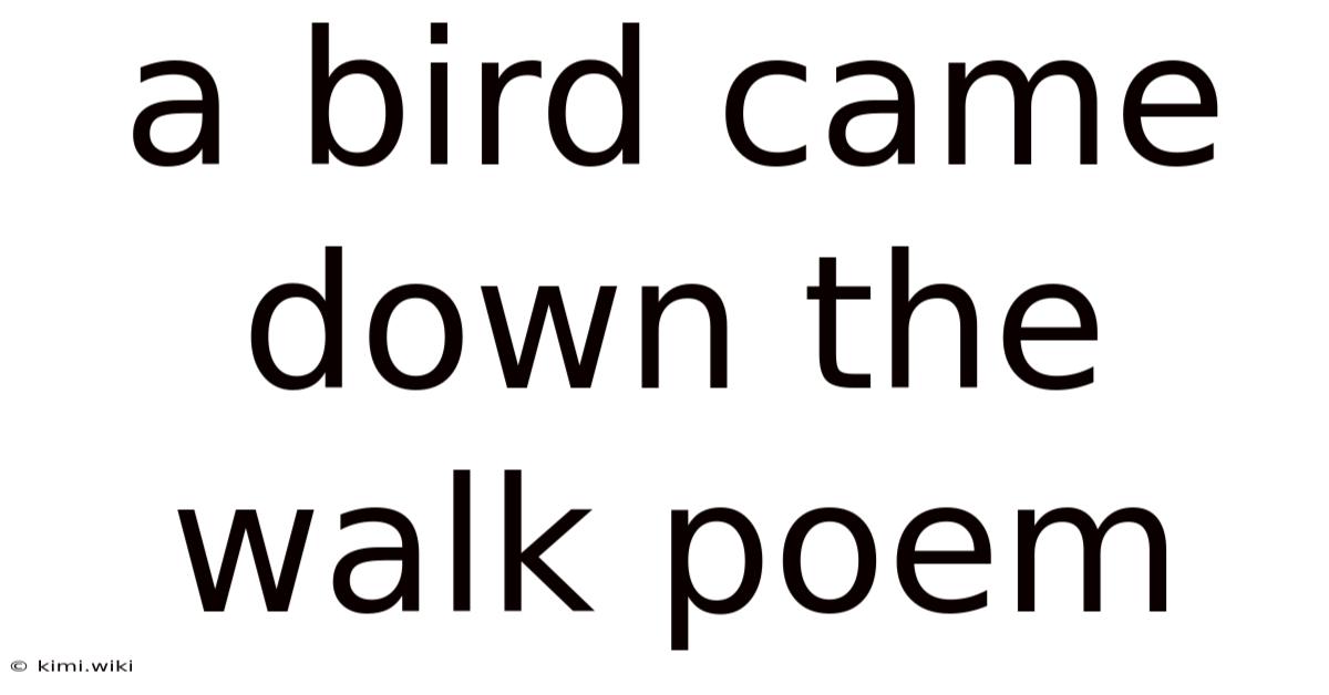 A Bird Came Down The Walk Poem