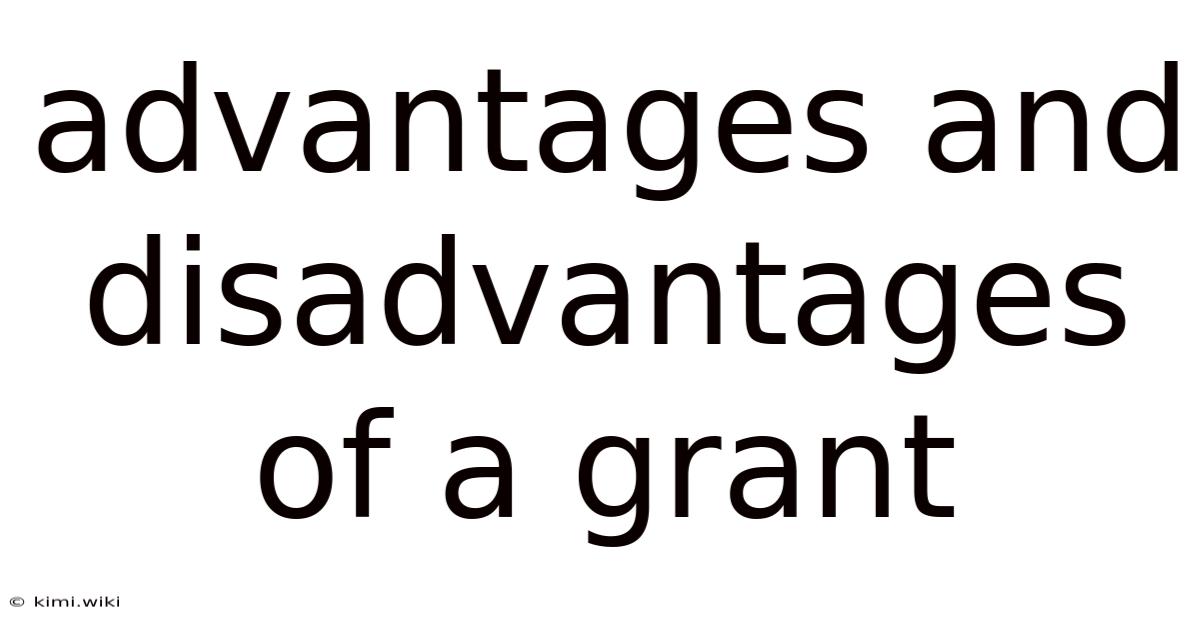 Advantages And Disadvantages Of A Grant