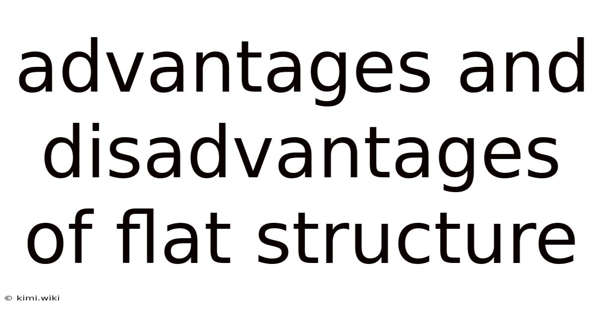 Advantages And Disadvantages Of Flat Structure