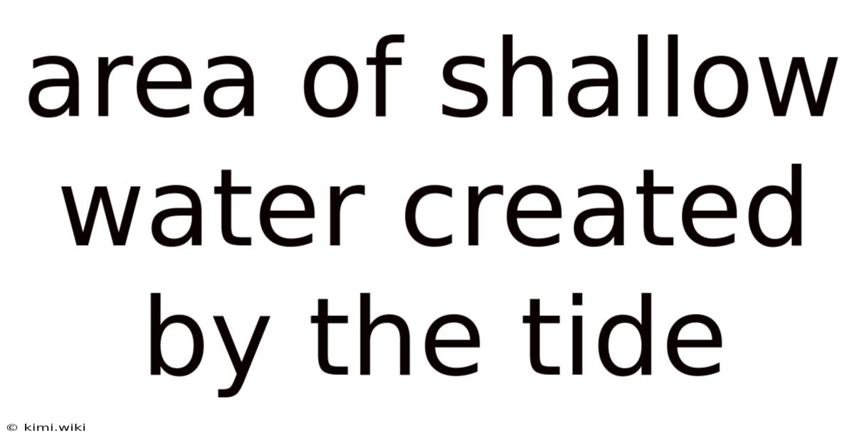 Area Of Shallow Water Created By The Tide