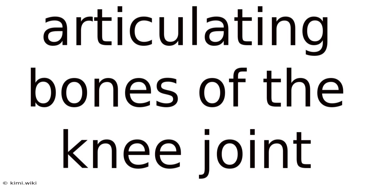 Articulating Bones Of The Knee Joint
