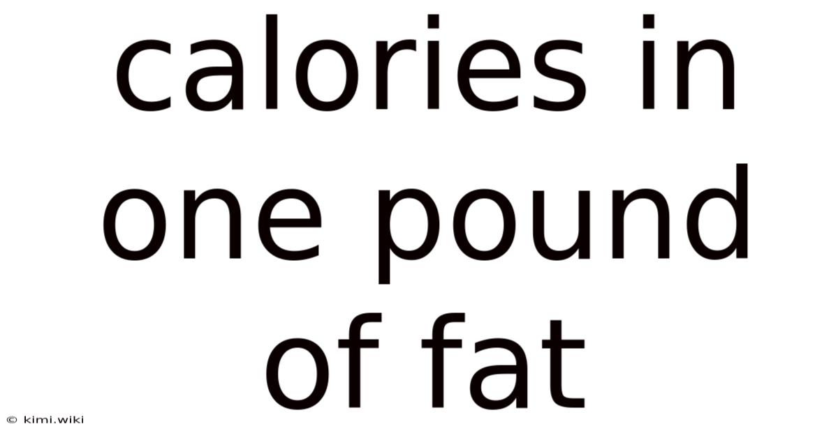 Calories In One Pound Of Fat