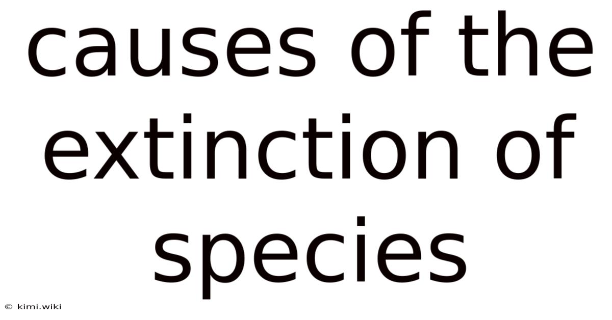 Causes Of The Extinction Of Species