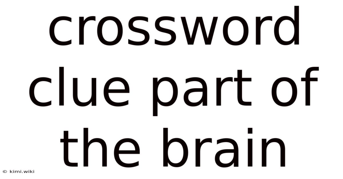 Crossword Clue Part Of The Brain