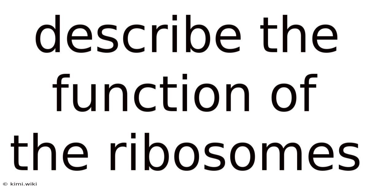 Describe The Function Of The Ribosomes