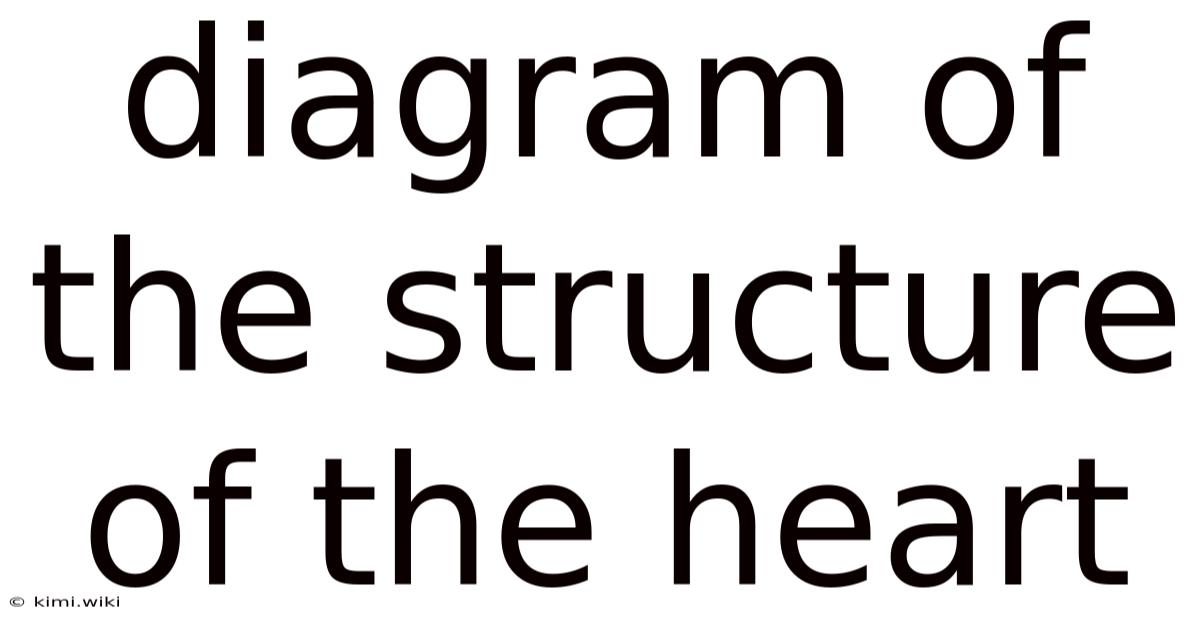 Diagram Of The Structure Of The Heart