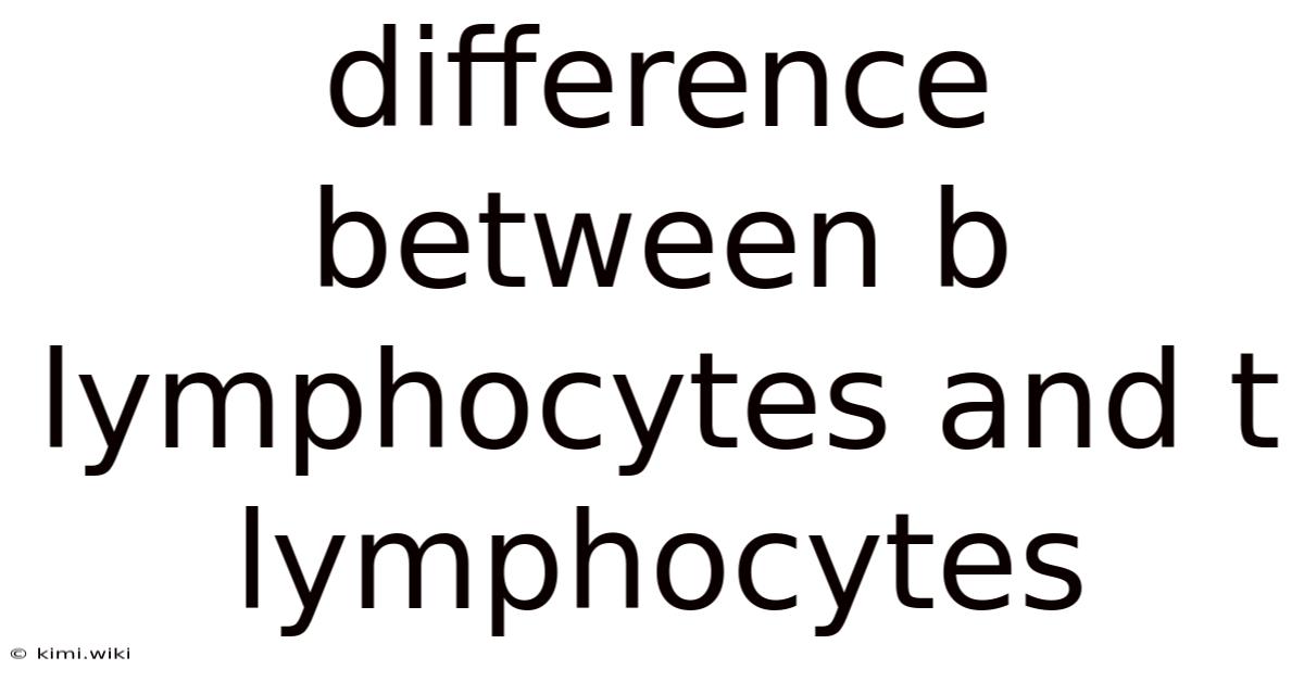 Difference Between B Lymphocytes And T Lymphocytes