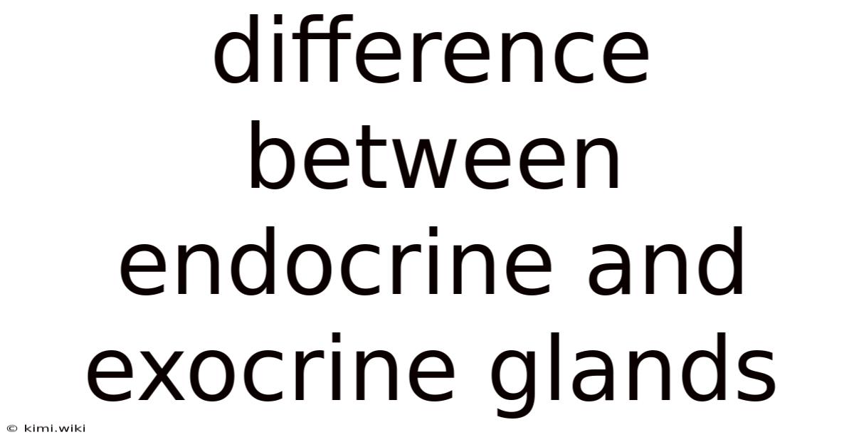 Difference Between Endocrine And Exocrine Glands