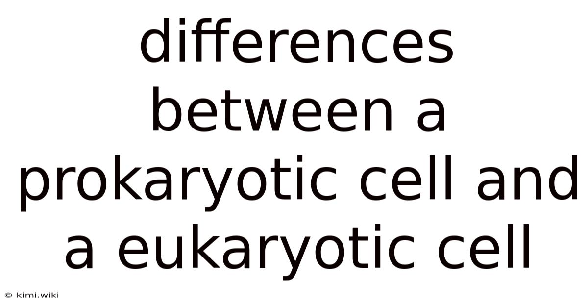 Differences Between A Prokaryotic Cell And A Eukaryotic Cell