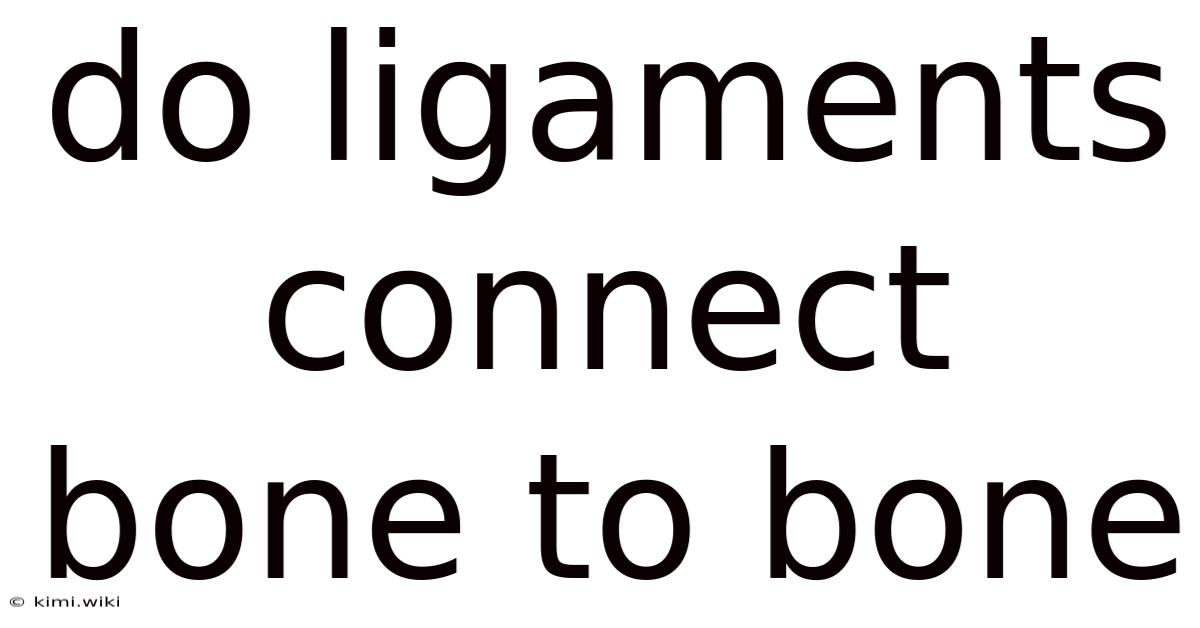 Do Ligaments Connect Bone To Bone