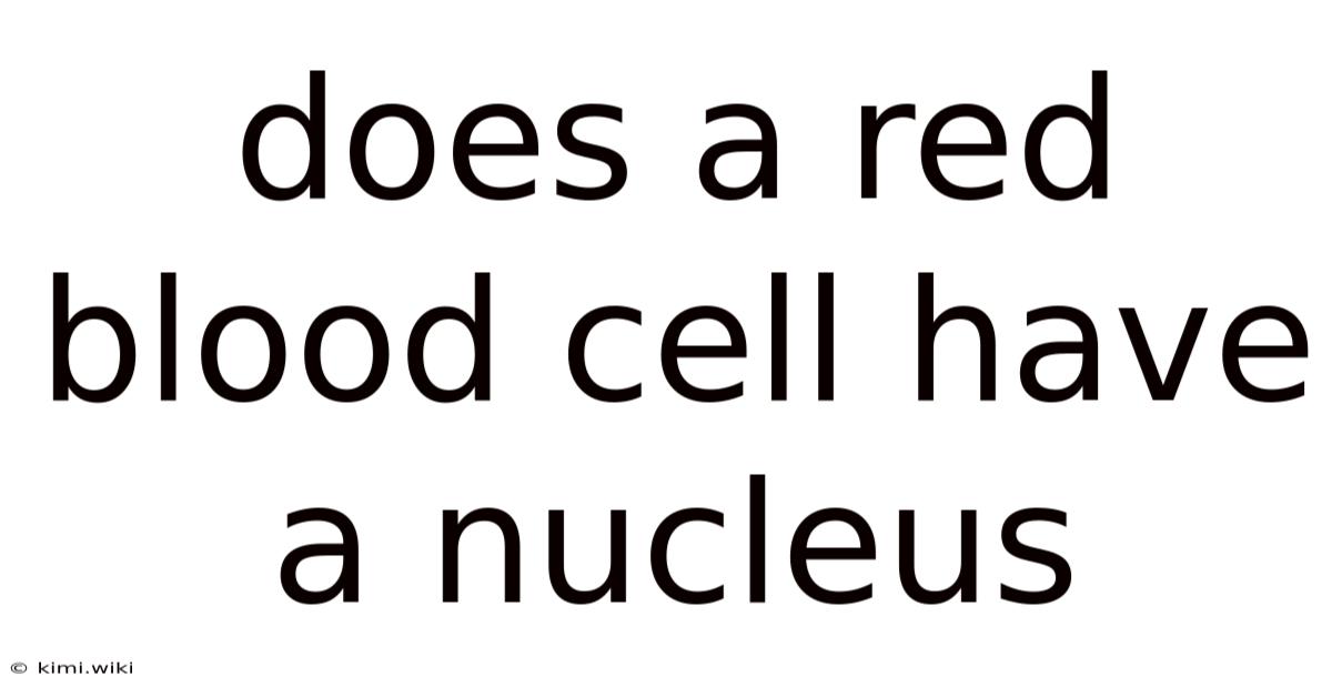 Does A Red Blood Cell Have A Nucleus