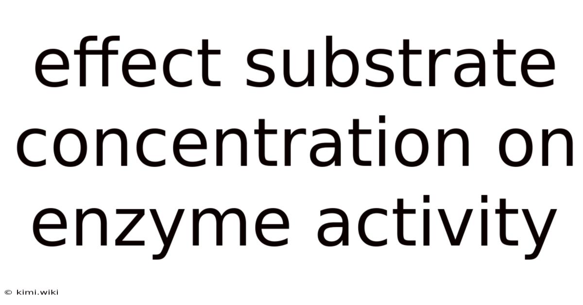 Effect Substrate Concentration On Enzyme Activity