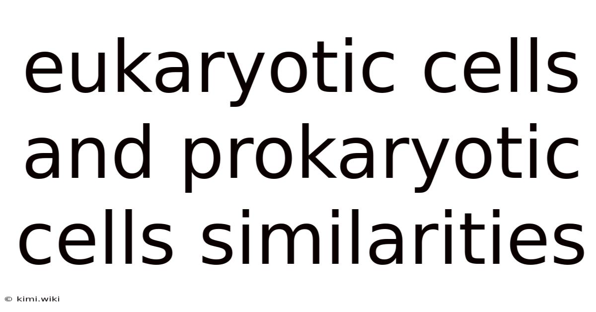 Eukaryotic Cells And Prokaryotic Cells Similarities