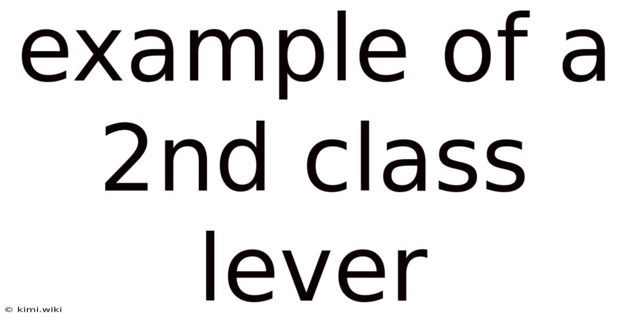 Example Of A 2nd Class Lever