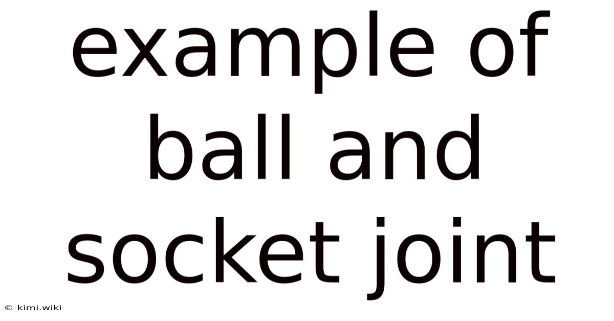 Example Of Ball And Socket Joint