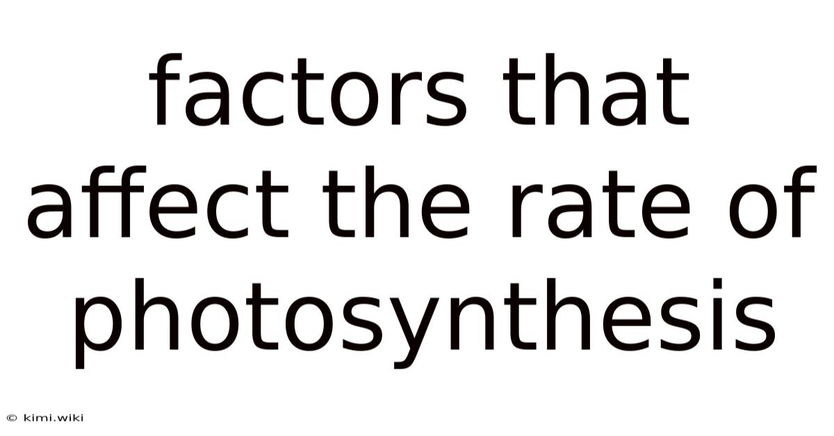 Factors That Affect The Rate Of Photosynthesis