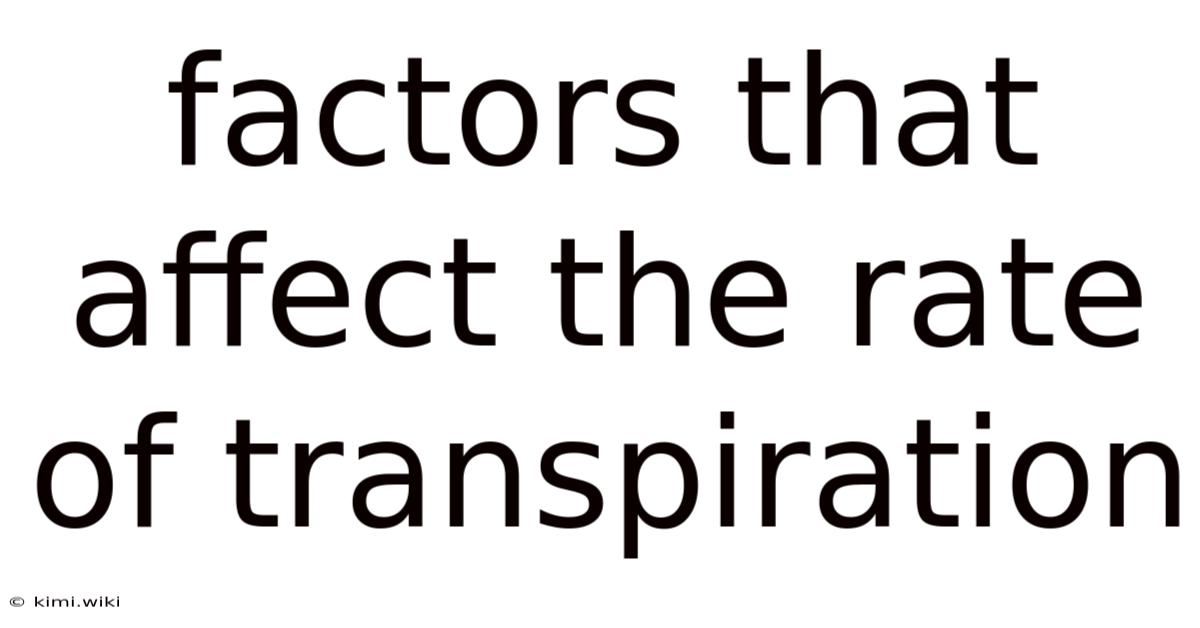 Factors That Affect The Rate Of Transpiration