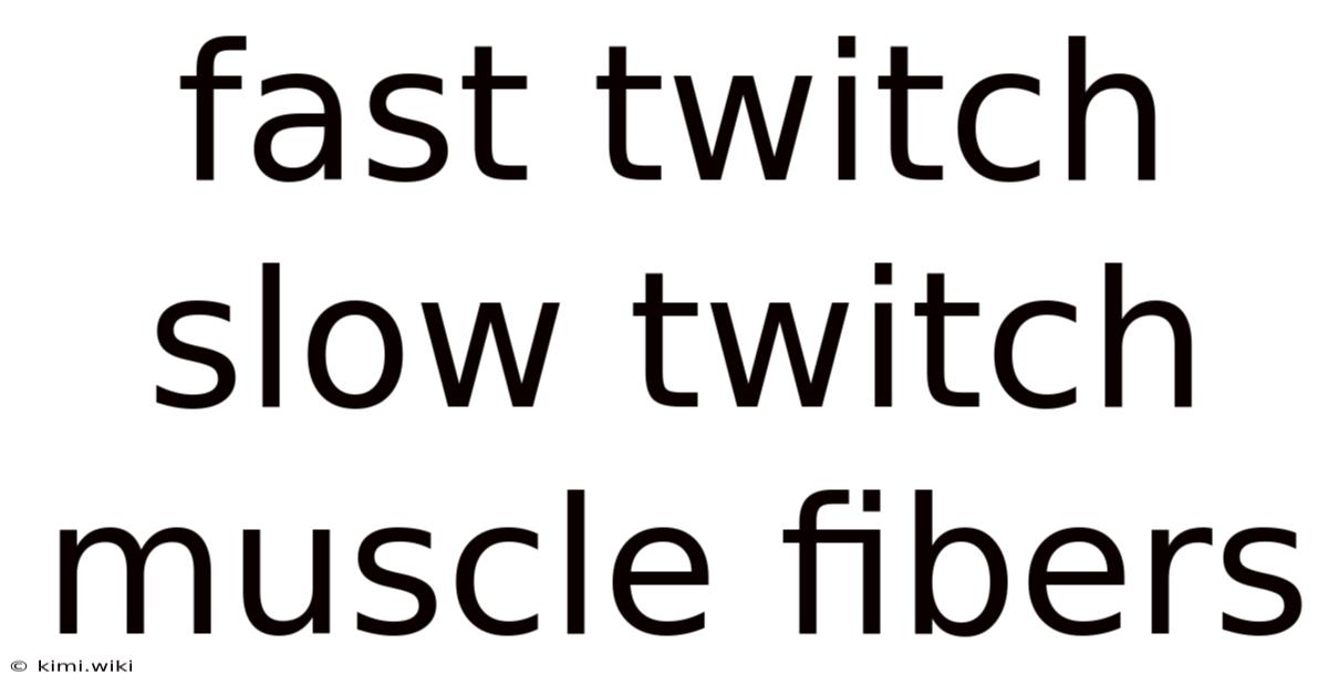 Fast Twitch Slow Twitch Muscle Fibers
