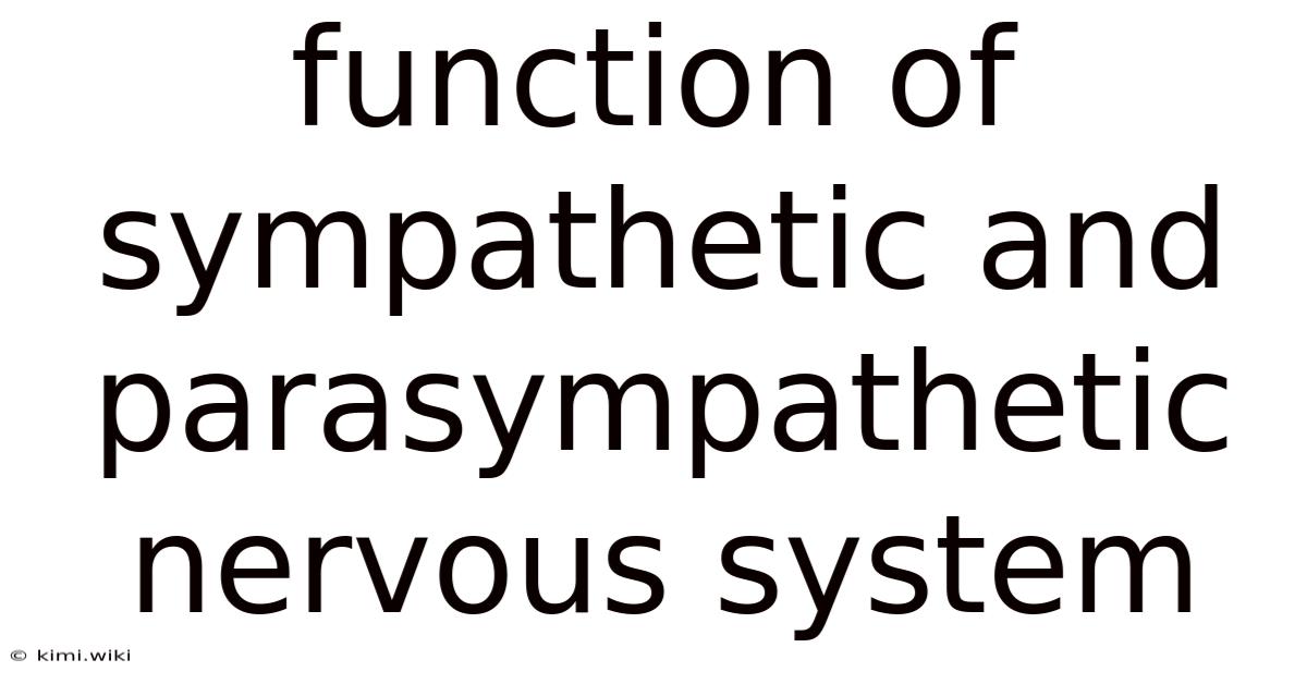 Function Of Sympathetic And Parasympathetic Nervous System