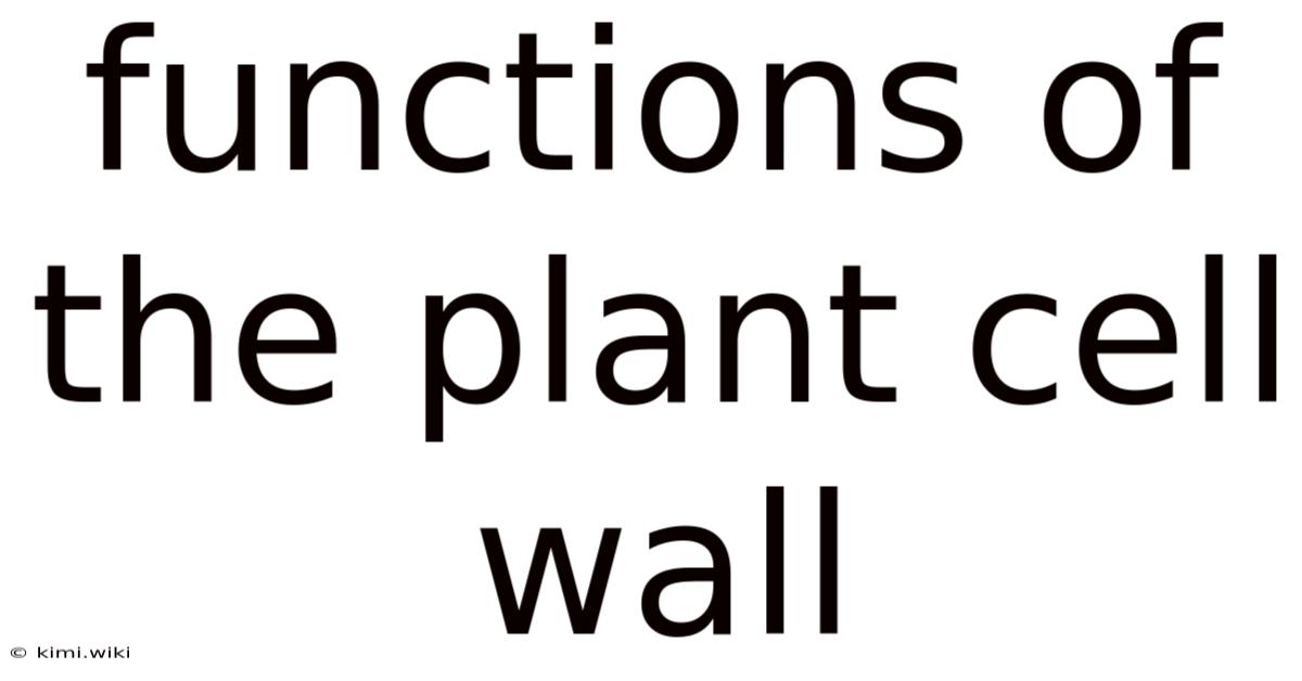 Functions Of The Plant Cell Wall