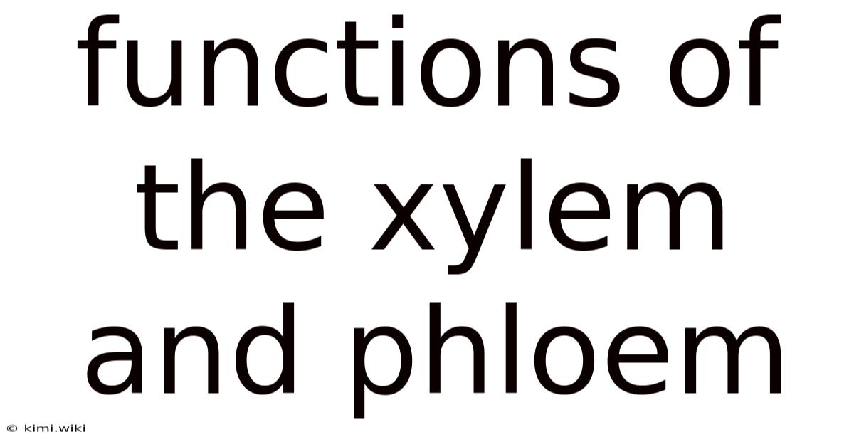 Functions Of The Xylem And Phloem