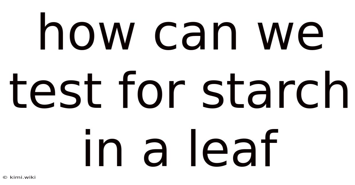 How Can We Test For Starch In A Leaf