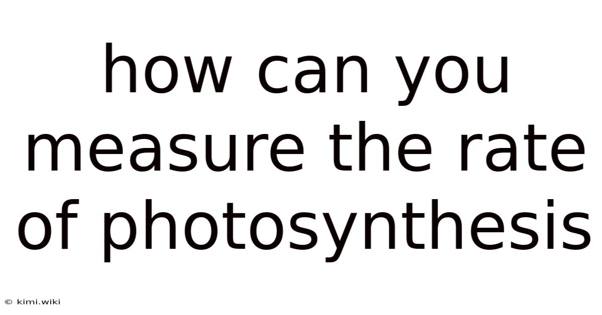 How Can You Measure The Rate Of Photosynthesis