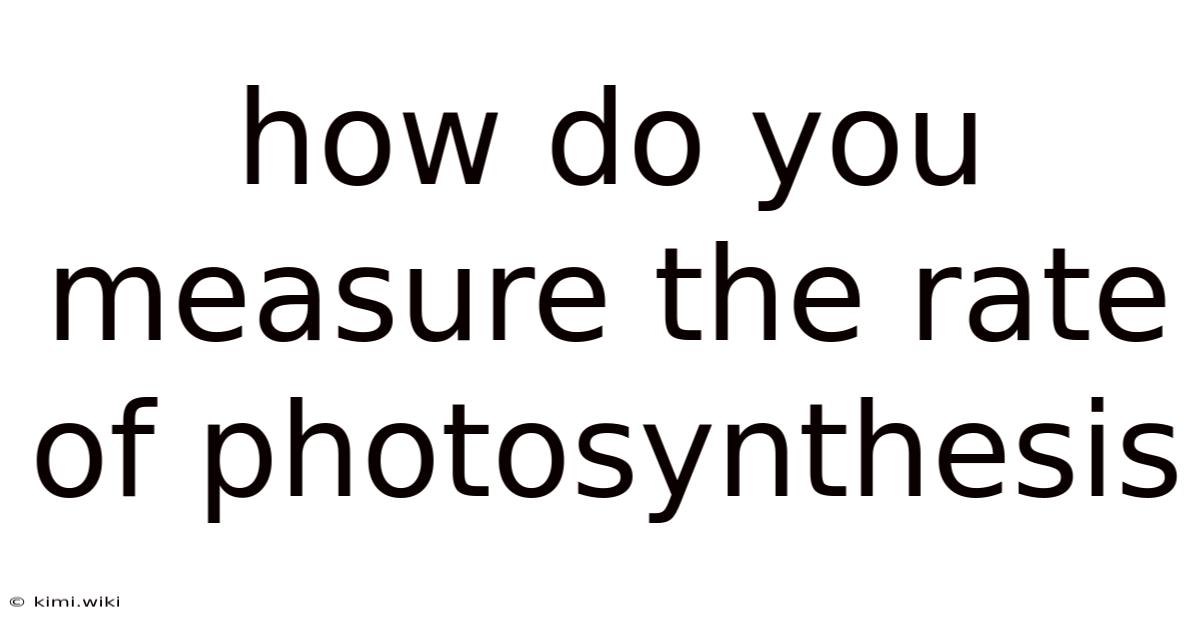 How Do You Measure The Rate Of Photosynthesis