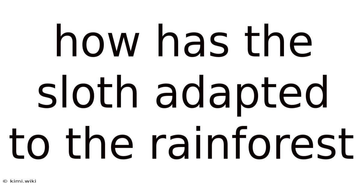 How Has The Sloth Adapted To The Rainforest