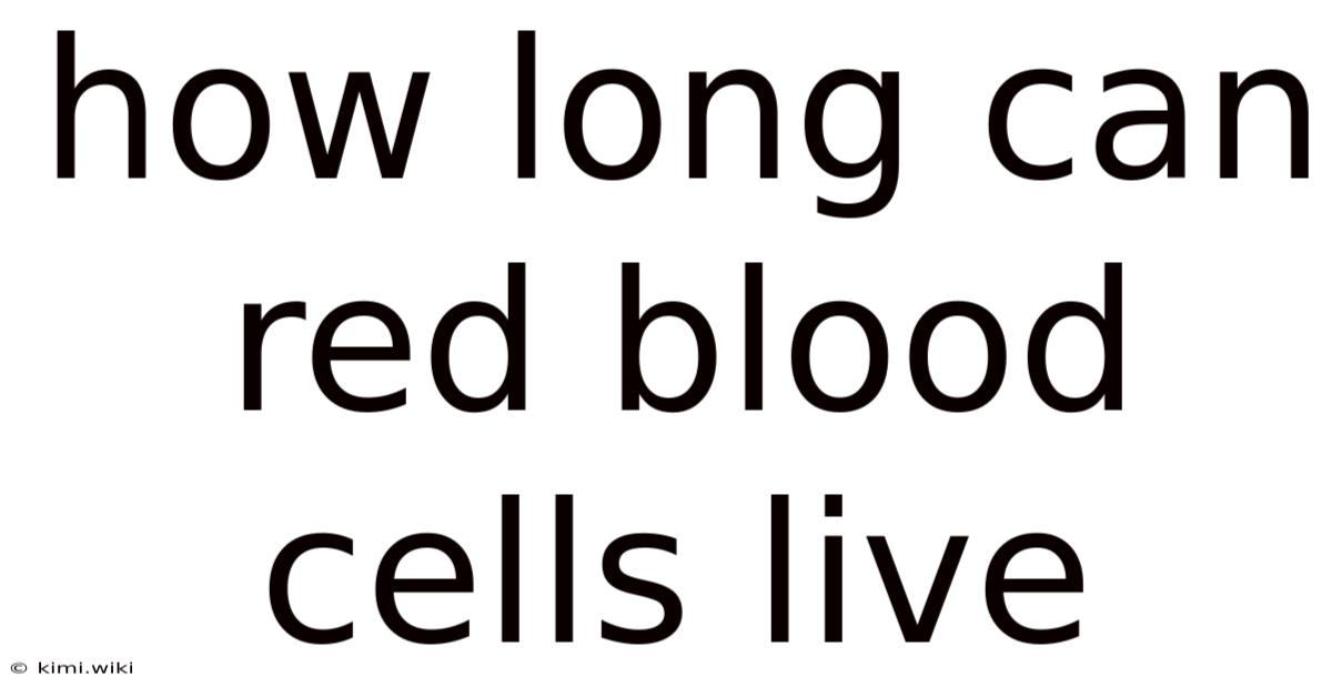 How Long Can Red Blood Cells Live