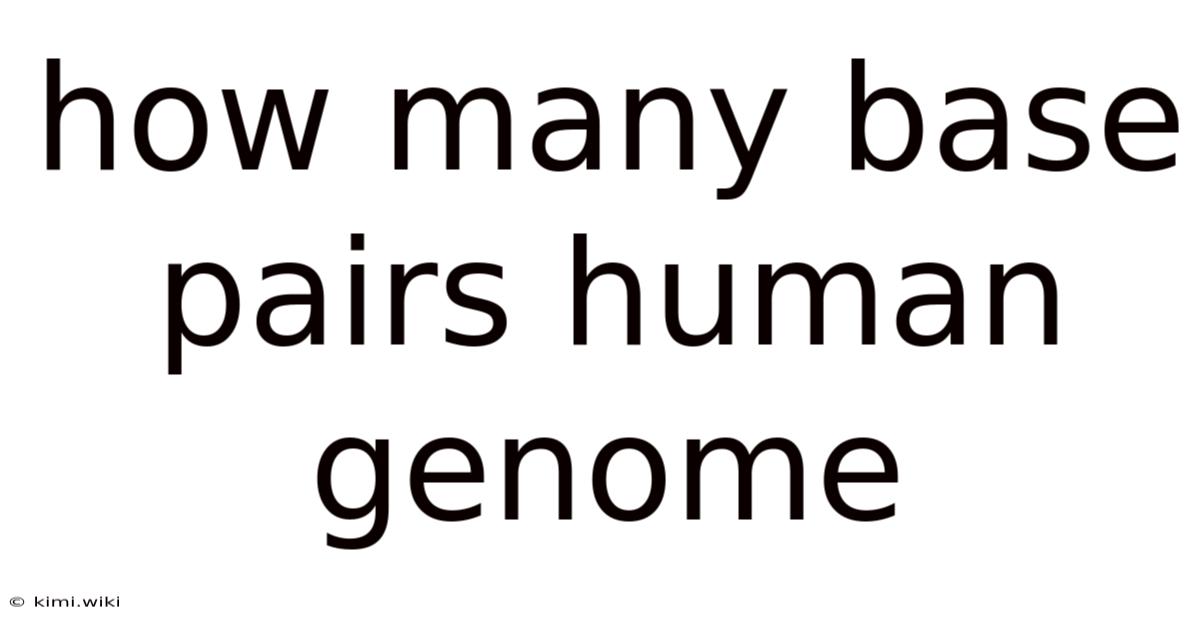 How Many Base Pairs Human Genome