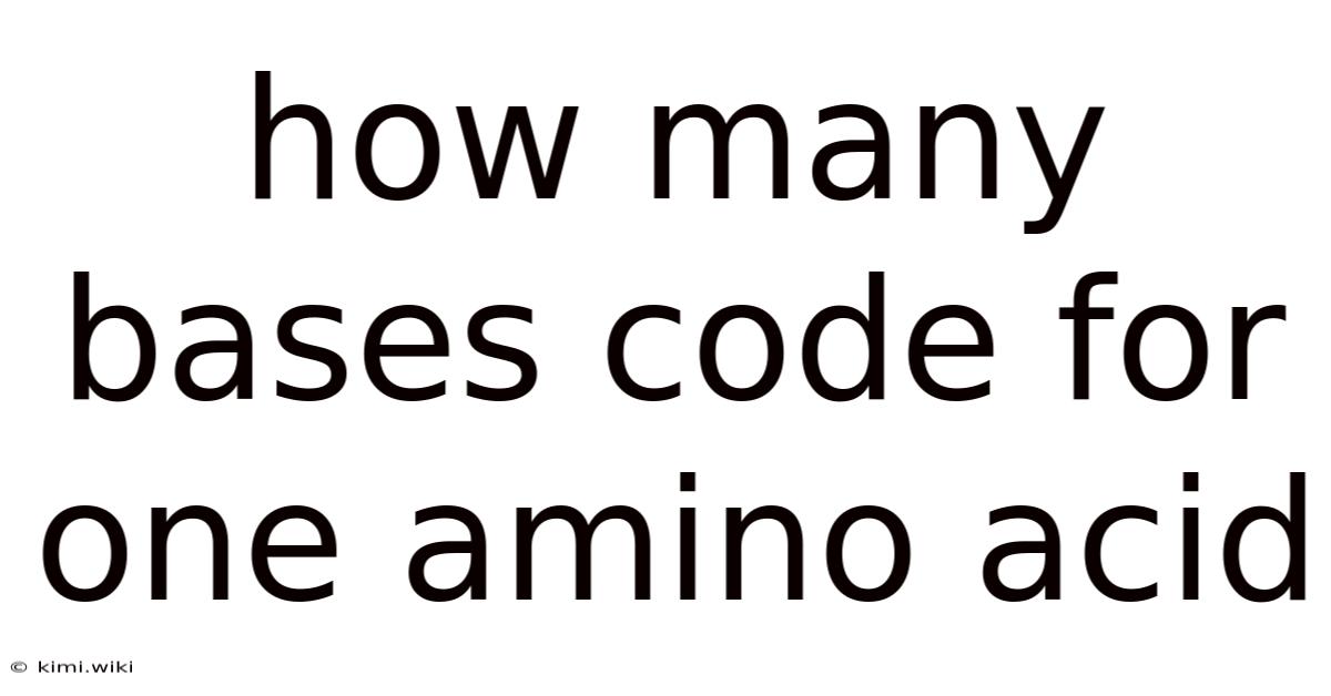 How Many Bases Code For One Amino Acid