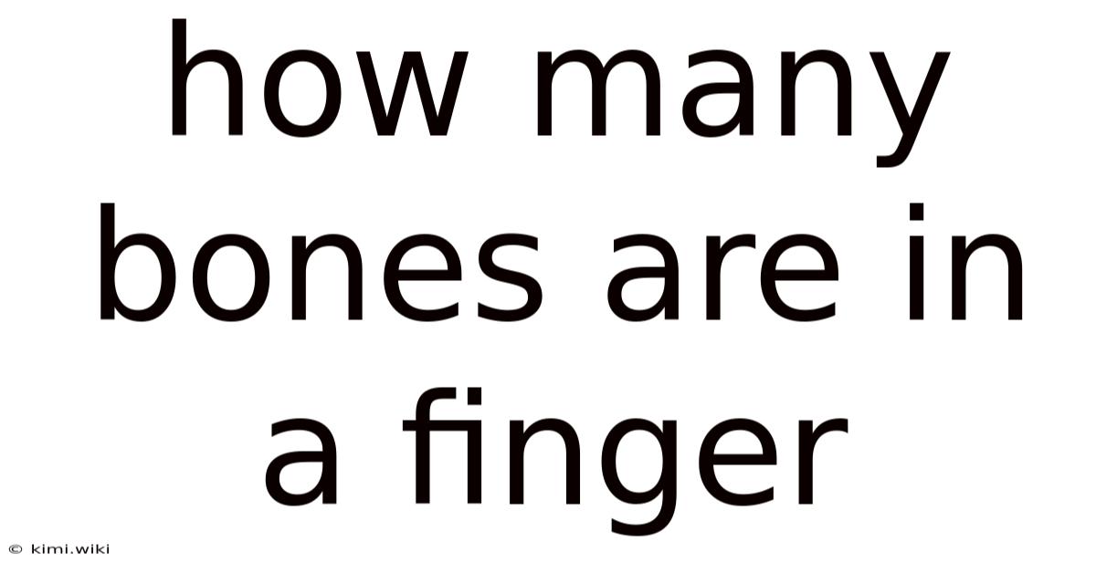 How Many Bones Are In A Finger