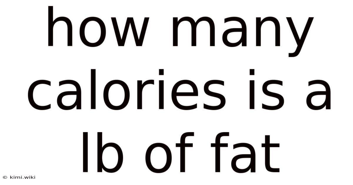 How Many Calories Is A Lb Of Fat