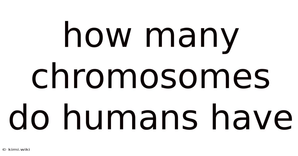 How Many Chromosomes Do Humans Have