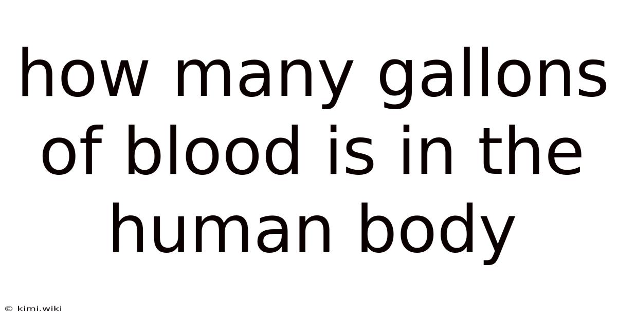 How Many Gallons Of Blood Is In The Human Body