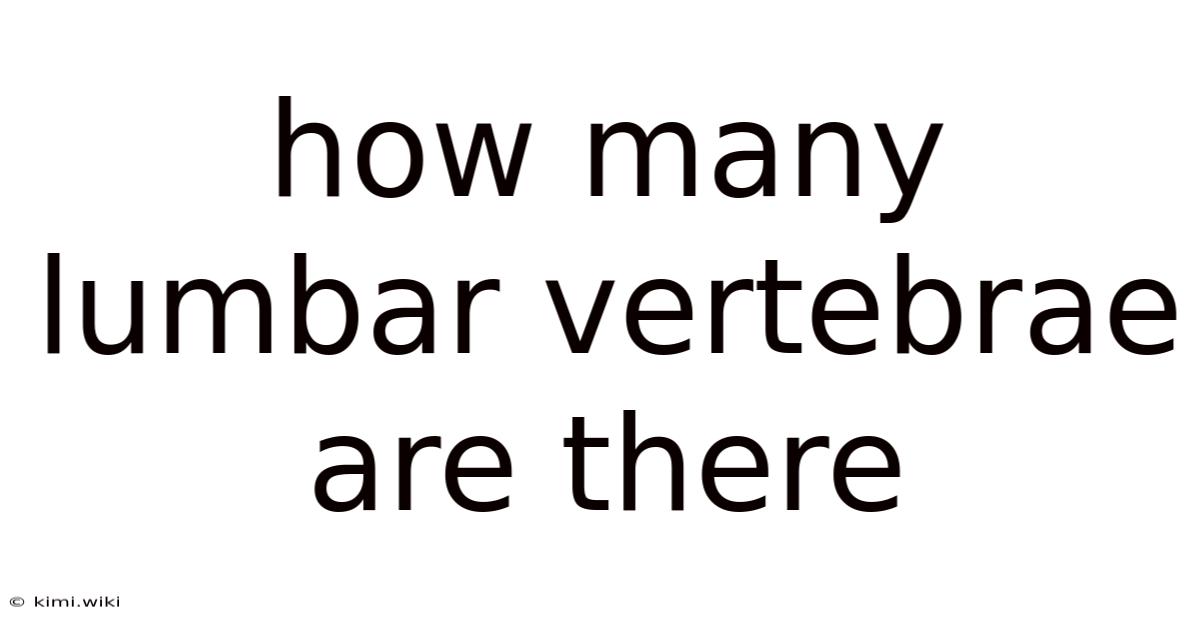 How Many Lumbar Vertebrae Are There