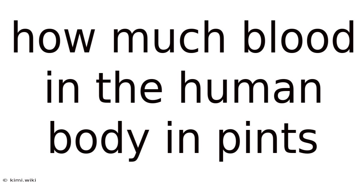 How Much Blood In The Human Body In Pints