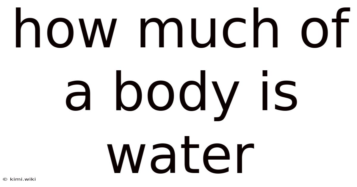 How Much Of A Body Is Water