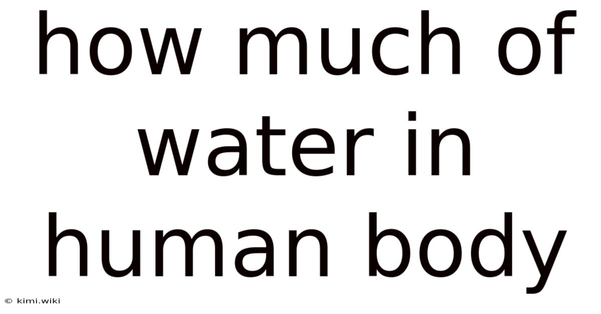 How Much Of Water In Human Body