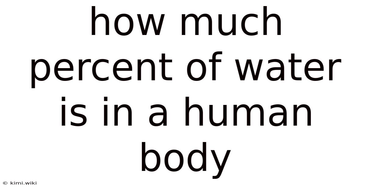 How Much Percent Of Water Is In A Human Body