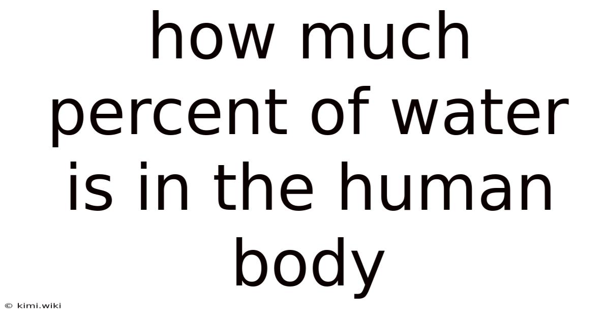 How Much Percent Of Water Is In The Human Body