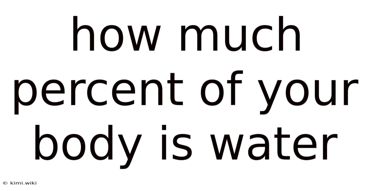 How Much Percent Of Your Body Is Water