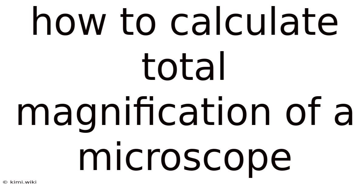How To Calculate Total Magnification Of A Microscope