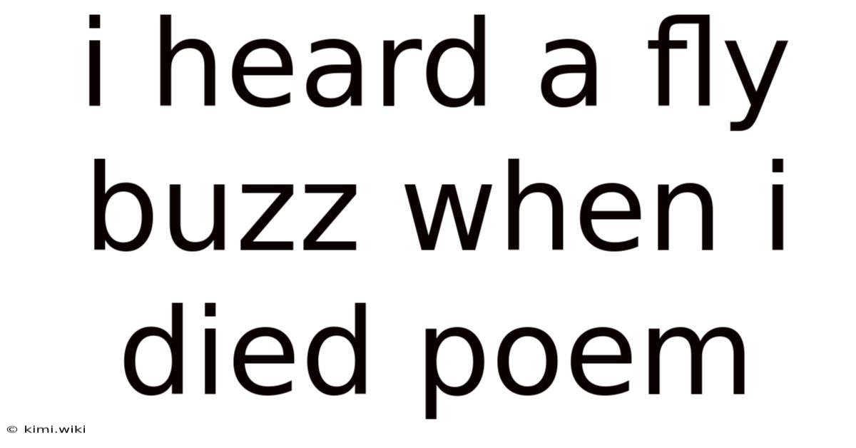 I Heard A Fly Buzz When I Died Poem