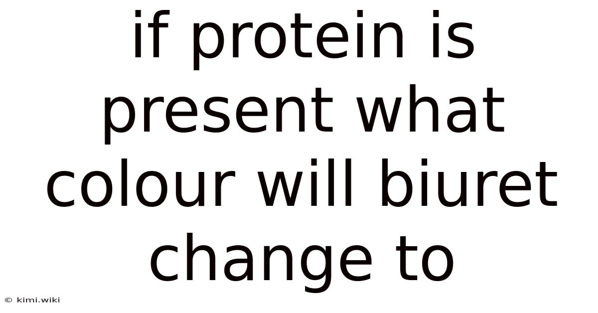 If Protein Is Present What Colour Will Biuret Change To