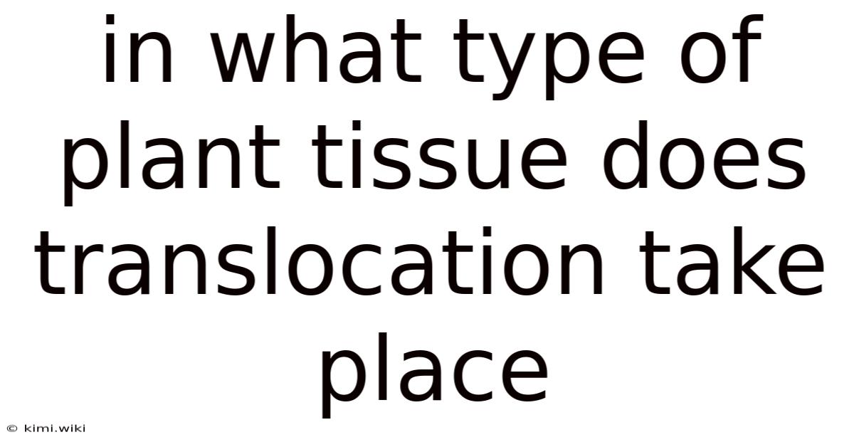 In What Type Of Plant Tissue Does Translocation Take Place