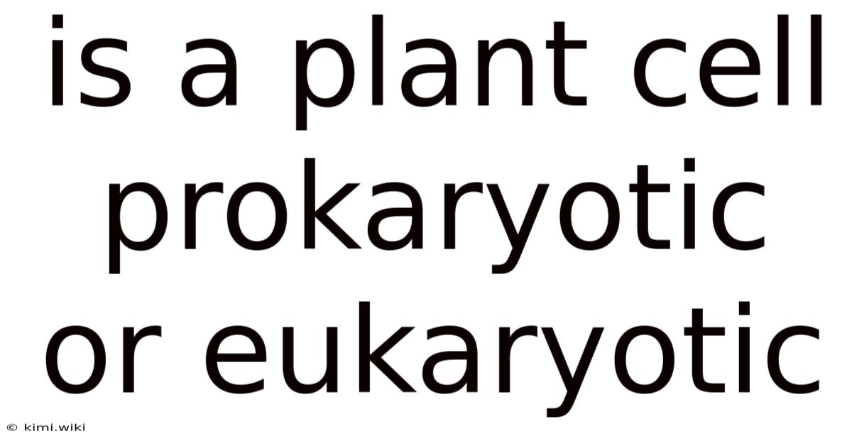 Is A Plant Cell Prokaryotic Or Eukaryotic